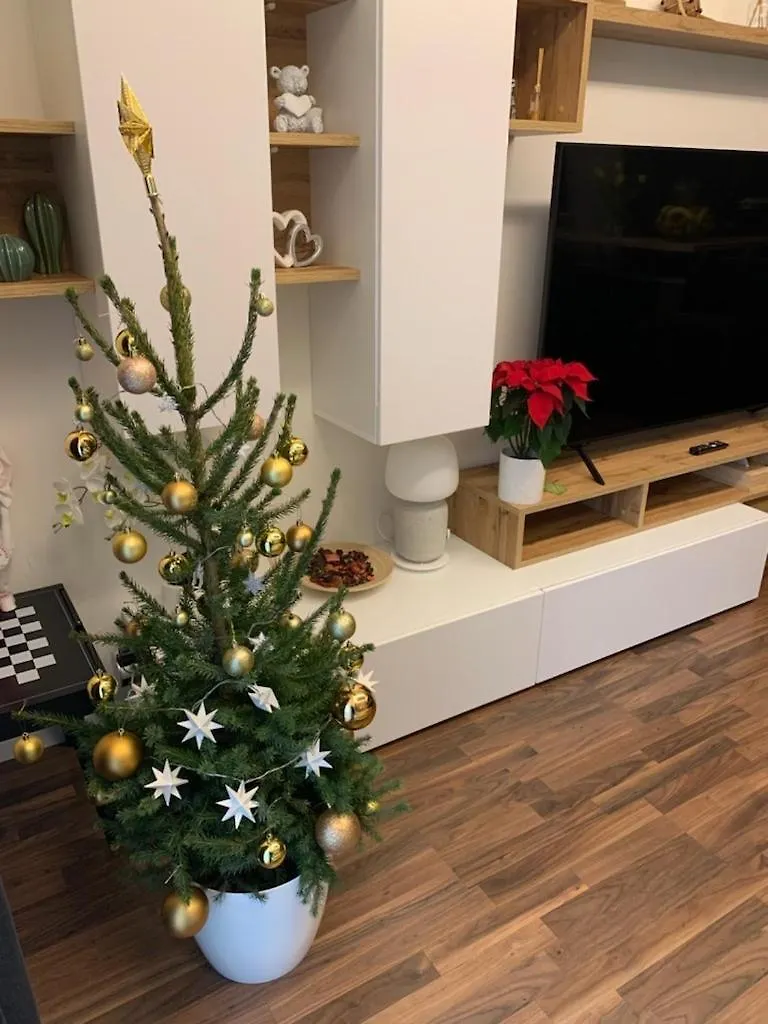 Krejcarek Garden Apartment Prag